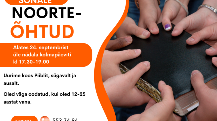 noortekad